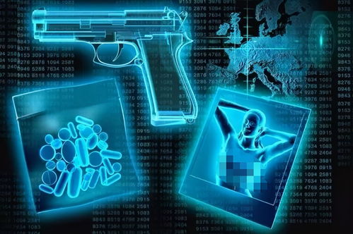 互联网的深渊 暗网的真实面目与网络安全的守护之盾