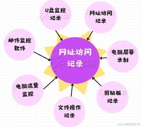 上网行为审计专题 上网行为审计软件排行,2024年8款宝藏app火热来袭